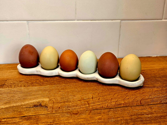 Egg Tray